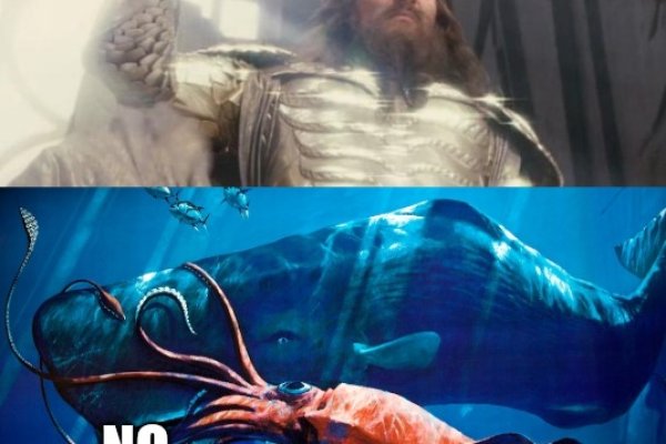 Kraken 13at